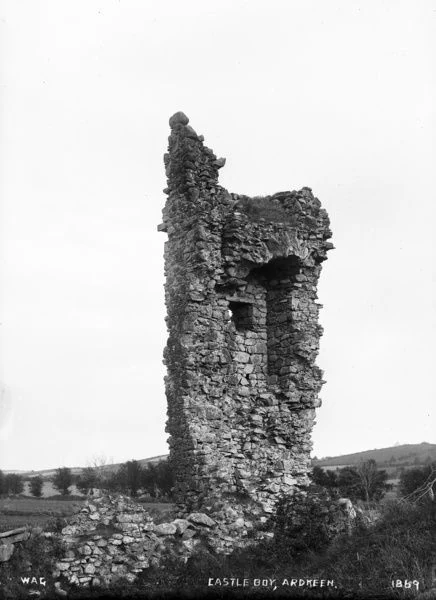 Castleboy ruins